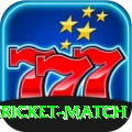 all cricket match VIP Edition v2.5.8