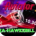 antigua hawksbill Plus Edition v4.5.2