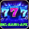bbl big bash apk Apps (Tools & Injectors) Premium v2.0.4