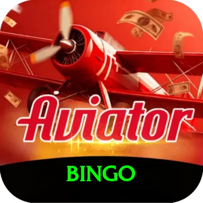 bingo Pro1 v5.2.1 - 2