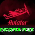 bingopkr Premium Plus v1.3.3