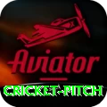 cricket pitch Turbo Pro v5.2.3