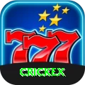crickex Plus Pro vv2.1.3