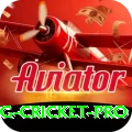 eng cricket Slots Supreme v2.5.4