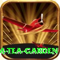 hile ilam tea garden Pro1 v4.7.0