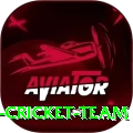 hong kong cricket team Turbo Pro v1.3.6
