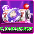 horse riding sarangkot VIP v5.3.7