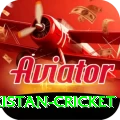 india pakistan cricket Plus v4.7.1