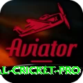 international cricket VIP v1.9.6