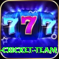 ireland cricket team Pro Max v2.9.6