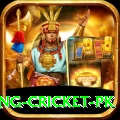 make money betting cricket pk Ultimate v1.0.3
