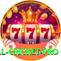 most runs in international cricket Jackpot VIP v1.1.2