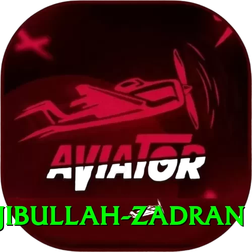 najibullah zadran Pro v5.6.3 - 2