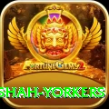 naseem shah yorkers Premium Edition v3.9.5