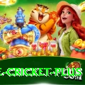 one cricket Game Deluxe v4.1.1