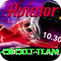pakistan women cricket team Gold Edition v3.6.0