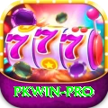 pkwin Master Pro v5.4.2