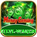 steve waugh Turbo Pro v4.3.2