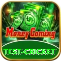 test cricket Elite Pro v1.4.8