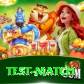 test match Elite v2.4.9