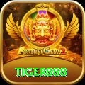 tiger888 Premium vv3.5.1