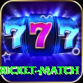to day cricket match Deluxe Pro v3.1.3