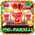 wayne parnell Deluxe Pro v3.1.5